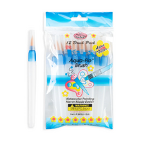 Big Kids Aqua Flow Brush Set 12