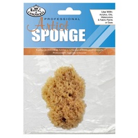 Natural Sea Sponge Sea Wool 75mm