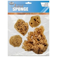 Natural Sea Sponge Combo Set 