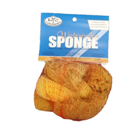 Watercolour Sponge Set 5 Assorted 