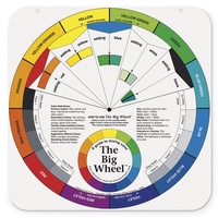 Giant Colour Wheel 63.5cm Diameter