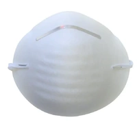 Disposable Dust Masks Pack 50