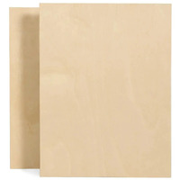 Meeden Wood Panel 9x12" 3/4 Thin