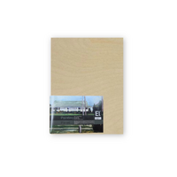 EL Painting Wooden Painting Panel Thin 12x16"