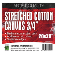 Artists Thin Stretched Canvas 20 x 20"