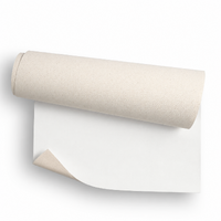 Phoenix Mini Primed Canvas Roll 10oz 12"x5m