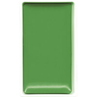 Gansai Tambi Pan No 505 Ivy Green