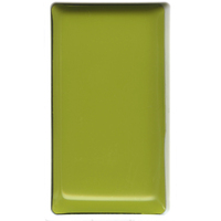 Gansai Tambi Pan No 48 Greenish Yellow