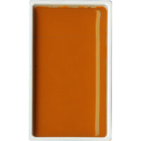 Gansai Tambi Pan No 402 Mars Yellow