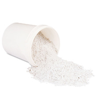 Primo Gypsum Gesso Powder 1Kg