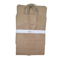 Paper Bags Pack 50 350x260x110mm