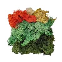 Lychen Mixed Colours 80g 