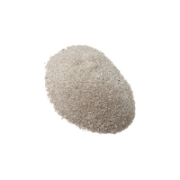 Ballast Sand 200g