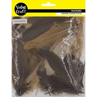 Craft Feathers 6g Goose Natural