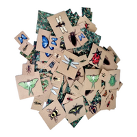 Paper Mosaics 1000 Pieces Insects