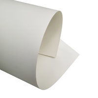 Isomars Professional Watercolour Paper 300gsm 22x30"