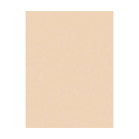 Colourfix Pastel Paper 340gsm 500x700mm Australian Grey