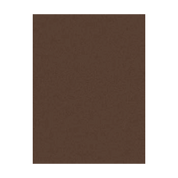 Colourfix Pastel Paper 500x700mm Burnt Umber
