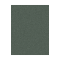 Colourfix Pastel Paper 340gsm 500x700mm Leaf Green Dark