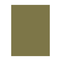 Colourfix Pastel Paper 340gsm 500x700mm Olive Green