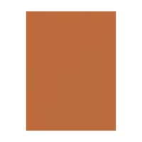 Colourfix Pastel Paper 340gsm 500x700mm Raw Sienna