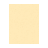 Colourfix Pastel Paper 340gsm 500x700mm Sand