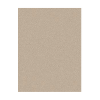 Colourfix Pastel Paper 340gsm 500x700mm Soft Umber