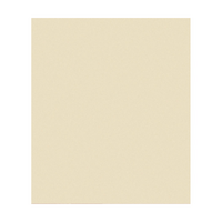 Pastelmat Paper 360gm 50cm x 70cm Sand