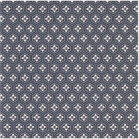 Fine Wrapping Paper 70x50cm 02 Hana