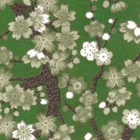 Yusen Chiyogami Paper A4 CH0810 White Blossoms on Golden Green