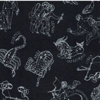 Himalayan Paper A4 HN55347 Silver Zodiac Signs on Black