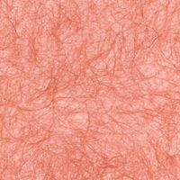 Abaca Hairy Paper A4 HA114 Orange