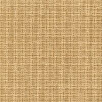 Paper Weave Paper A4 PW048 Cotton Natural 240gsm