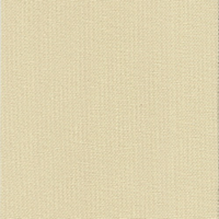 Paper Weave Paper A4 PW313 Mesh Cream 350gsm