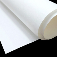 Shin Hosho Rice Paper 70gsm 810x540mm