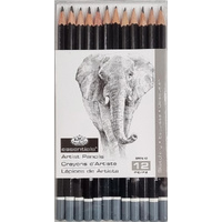 Artist Sketching Pencil Set 12