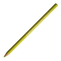 Holbein Coloured Pencil - Olive Yellow #198                                                               