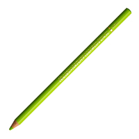 Holbein Coloured Pencil - Apple Green #251                                                                