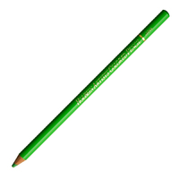 Holbein Coloured Pencil - Evergreen #254                                                                  