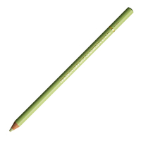 Holbein Coloured Pencil - Willow Green #270                                                               
