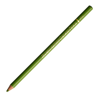 Holbein Coloured Pencil Moss Green #290