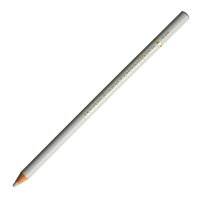 Holbein Coloured Pencil - Cool Grey 2 #532                                                                